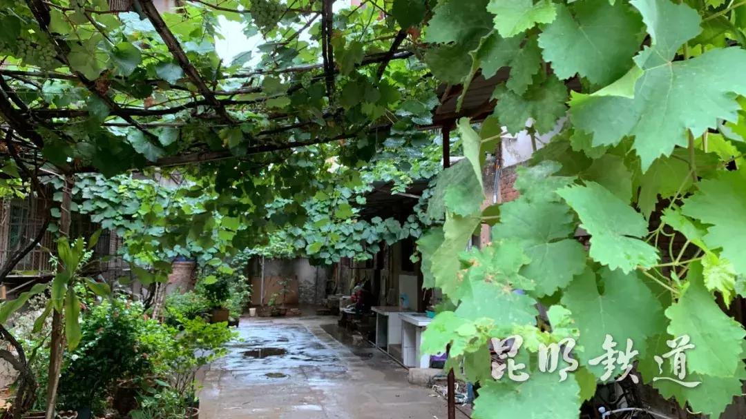 百年滇越铁路开远站你还记得吗,滇越百年米轨铁路小站通往远方