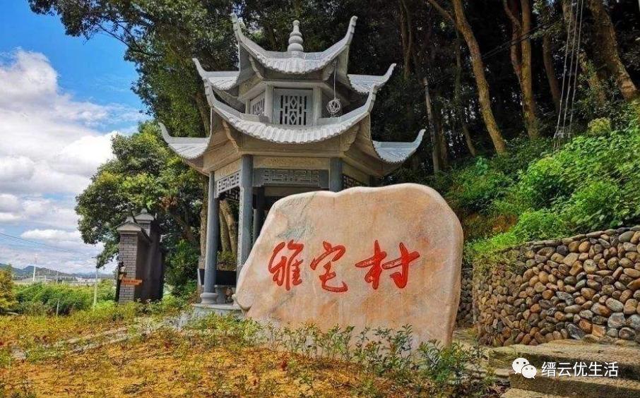 雅宅苦槠豆腐,雅宅苦槠腐