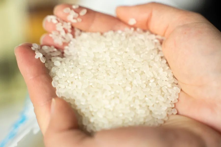 被薇娅直播间榨干零食预算后，写出了这篇测评报告（上）