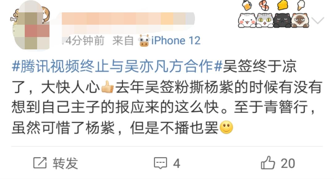 吴亦凡入狱，有多少人在狂欢