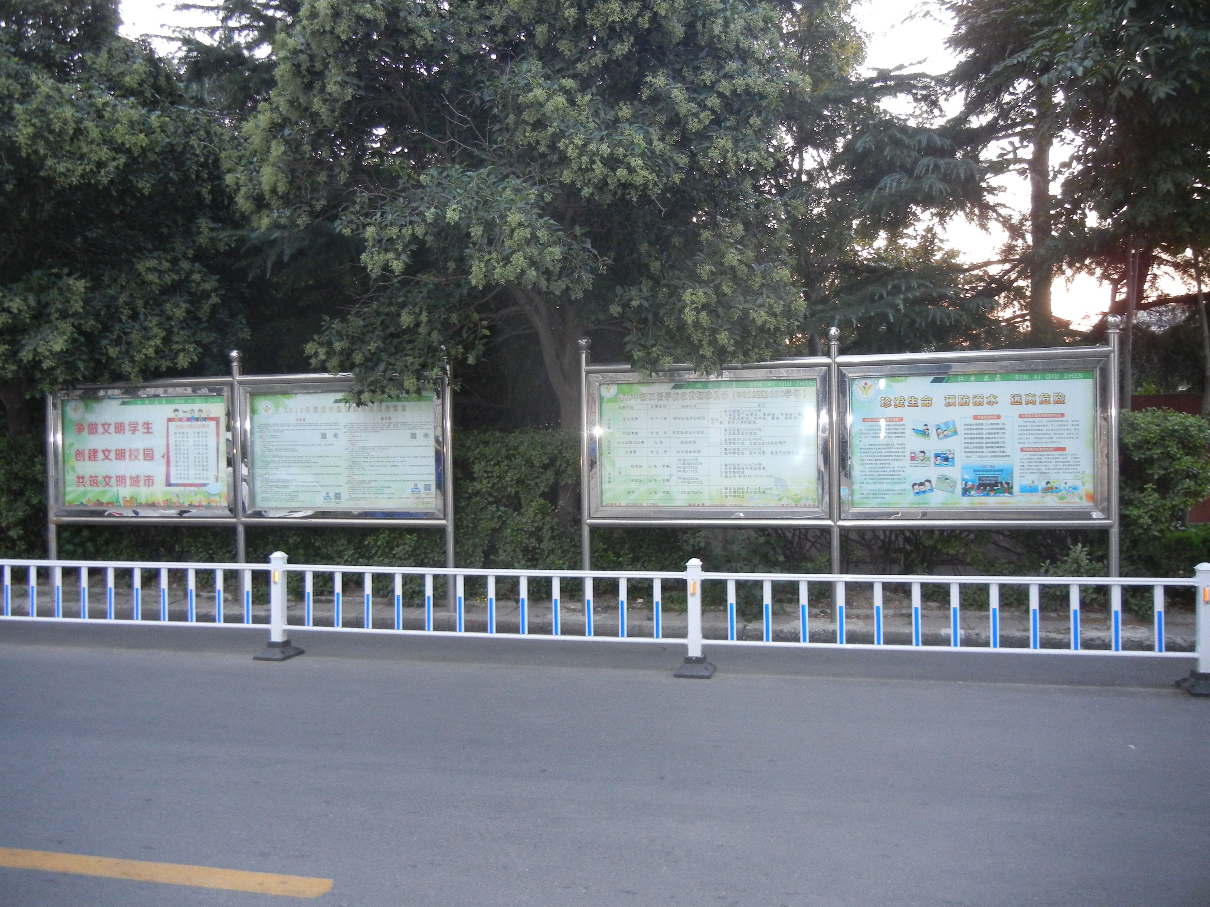 潍坊中新双语学校排名,潍坊中新双语小学排名