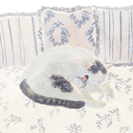 意大利留学用什么银行卡方便,澳洲留学办银行卡指南详解