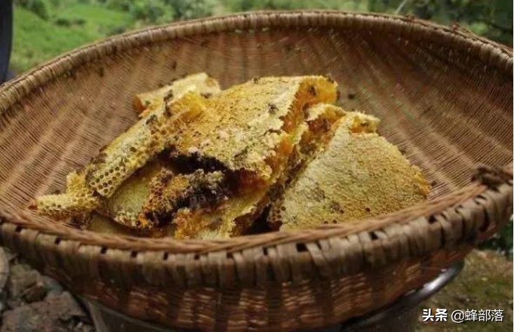 李时珍说蜂蜜,李时珍记载蜂蜜