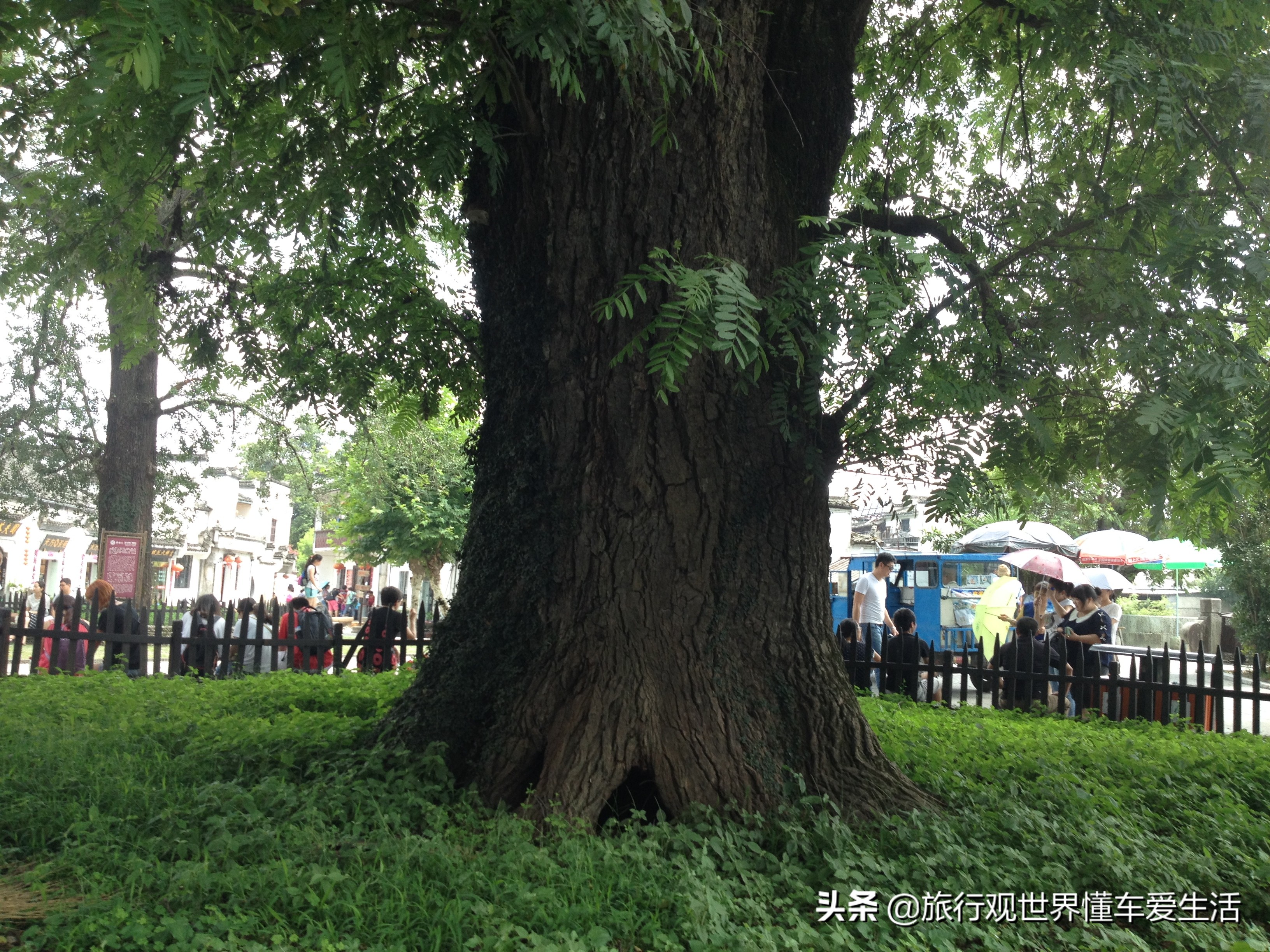 去黄山和宏村大概多少钱,坐火车去黄山宏村攻略