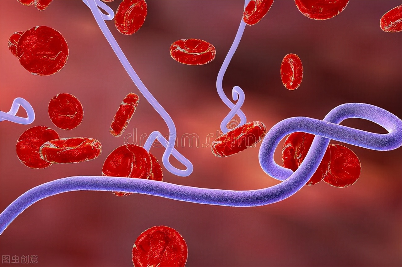 常见的性传播病有哪些？如何传播的？如何预防？