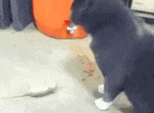 搞笑gif开心一刻单身也挺好,搞笑gif开心视频