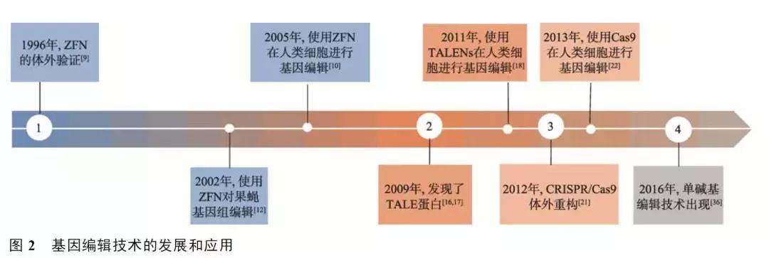 基因编辑技术及其在基因治疗中的应用