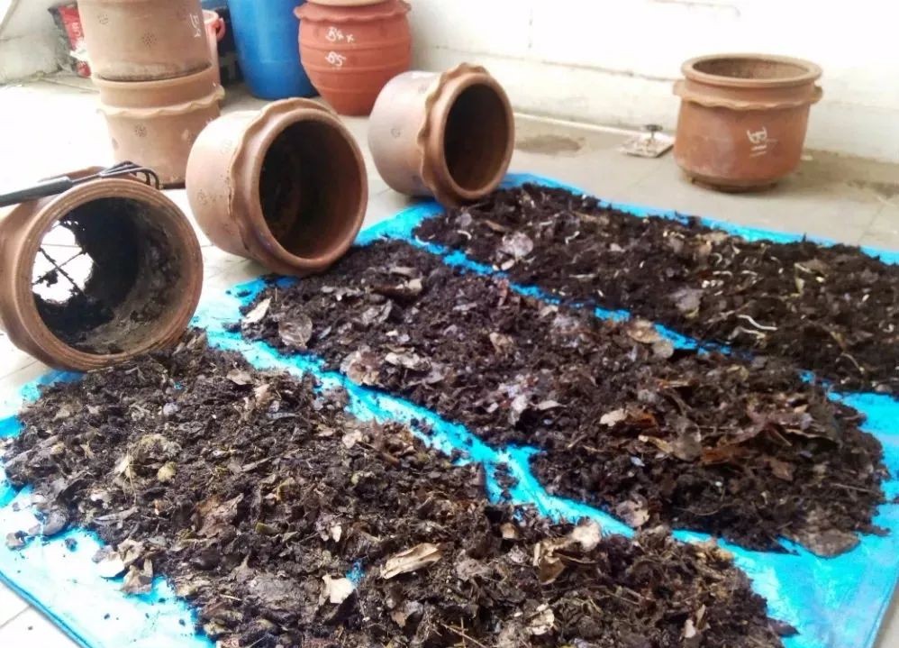 堆肥土制作有机液肥最简单的方法,自制堆肥和有机肥有什么区别