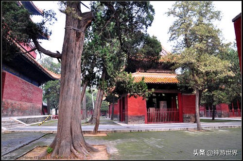 山东曲阜孔府游记,夜游孔子故里曲阜