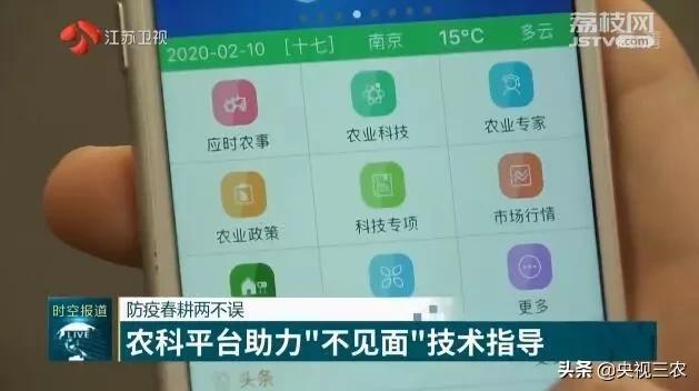 抓防疫保春耕两不误,促融合防疫春耕两不误