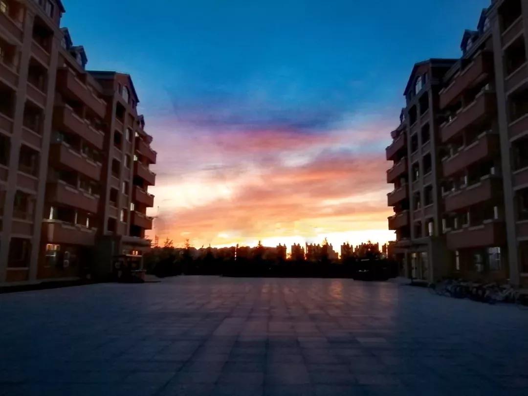 辽宁中医药大学杏林学院独立学院,辽宁中医药大学三个校区