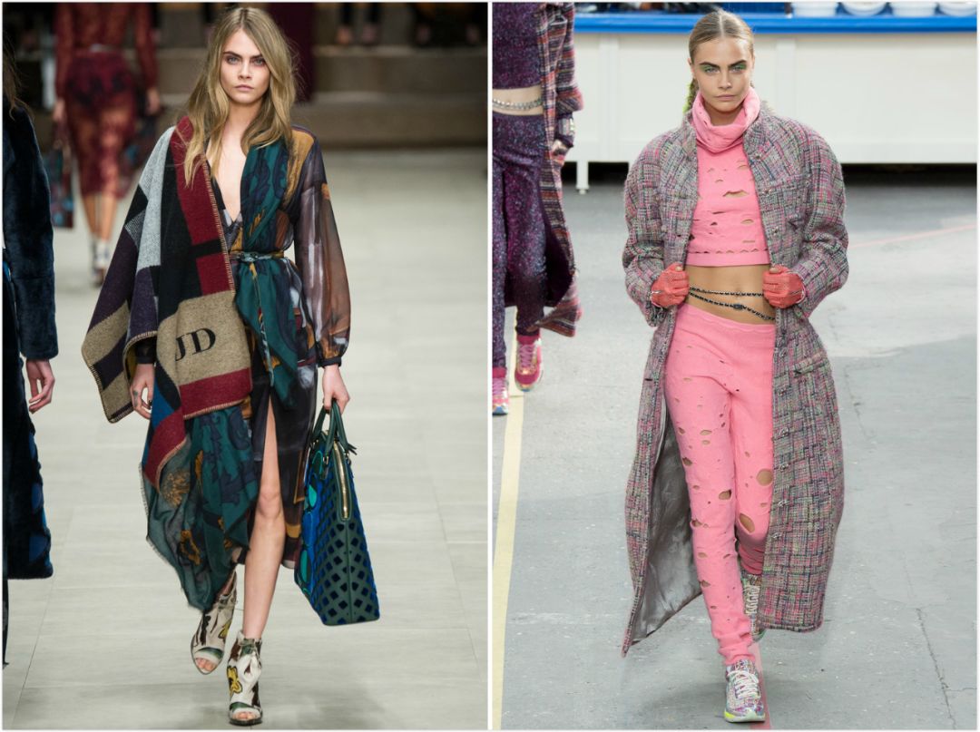 21亿遗产的猫现在怎么样了,失踪多年的猫终于回来了