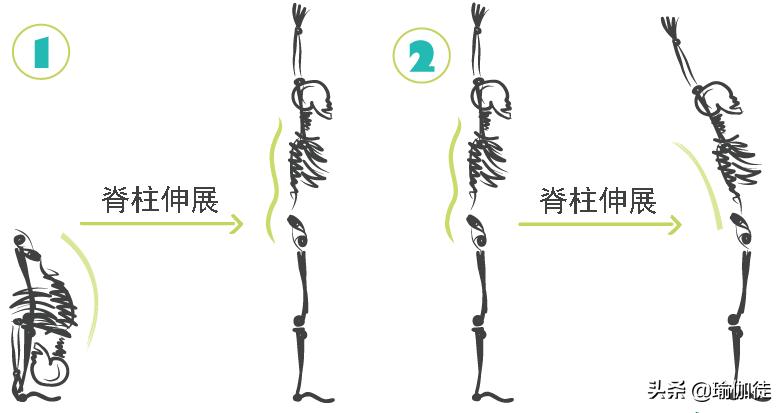 了解腰椎压力的原因吗？瑜伽轴向伸展减椎间盘压力，减压方法在这