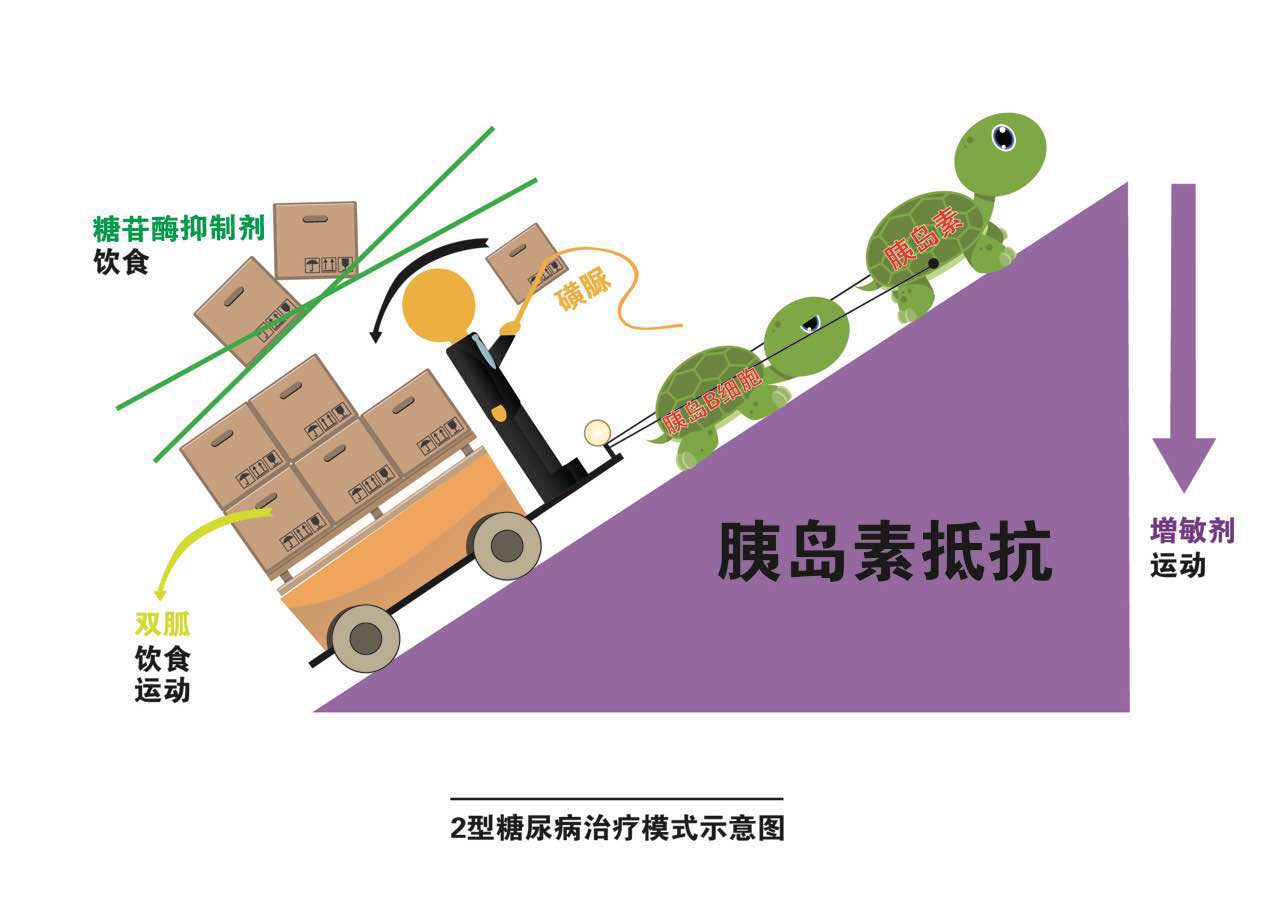 糖尿病患者合理小知识,知识普及糖尿病的日常保健