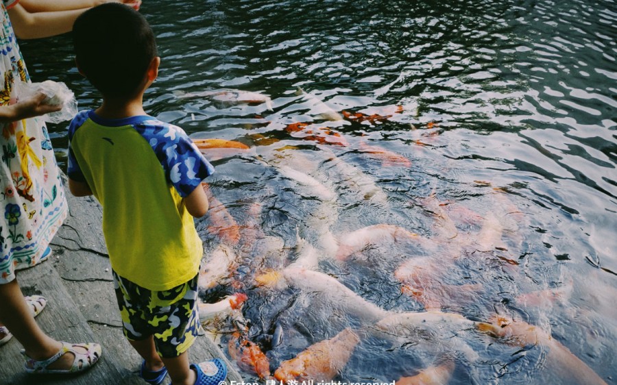 宅家云旅游遇见最美的自己 (宅家云旅游唯有爱与美食不可辜负)