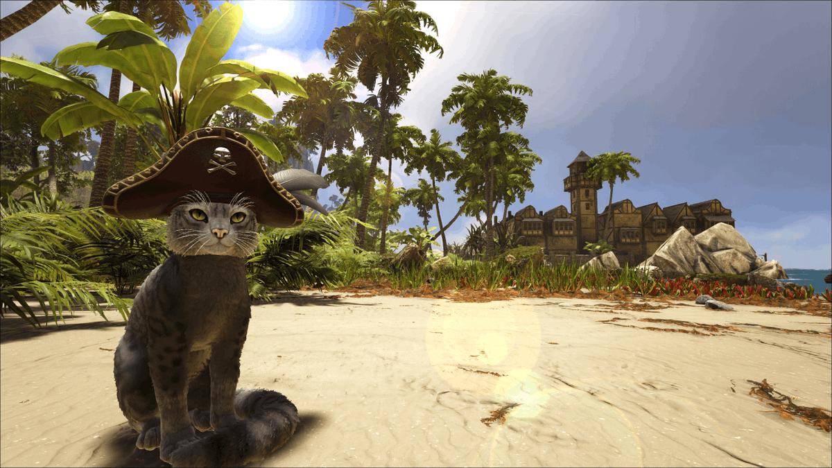 印度低种姓很惨吗,印度低种姓真的惨么