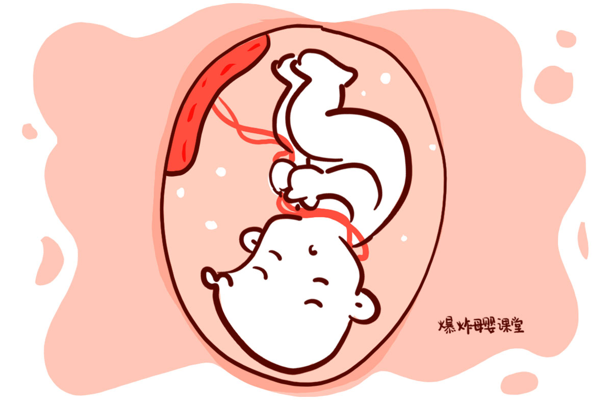 孕妇胎梦一般是怀孕多久出现的,只有准妈妈知道怀孕时的胎梦