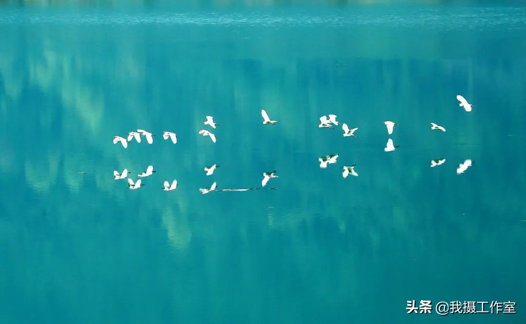 第16届国际摄影艺术展获奖作品,第29届全国摄影艺术展览作品集