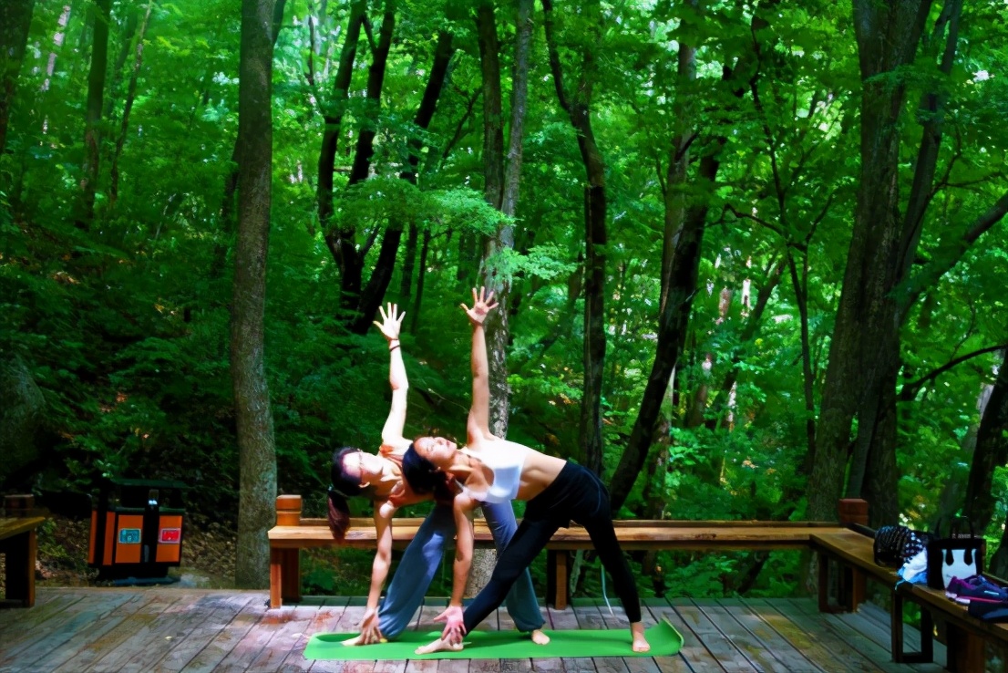 沈阳春暖花开,春暖花开沈阳自由行攻略