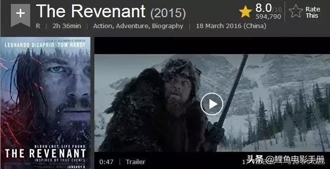 imdb评分最高的动画电影,imdb评分9以上的中国电影