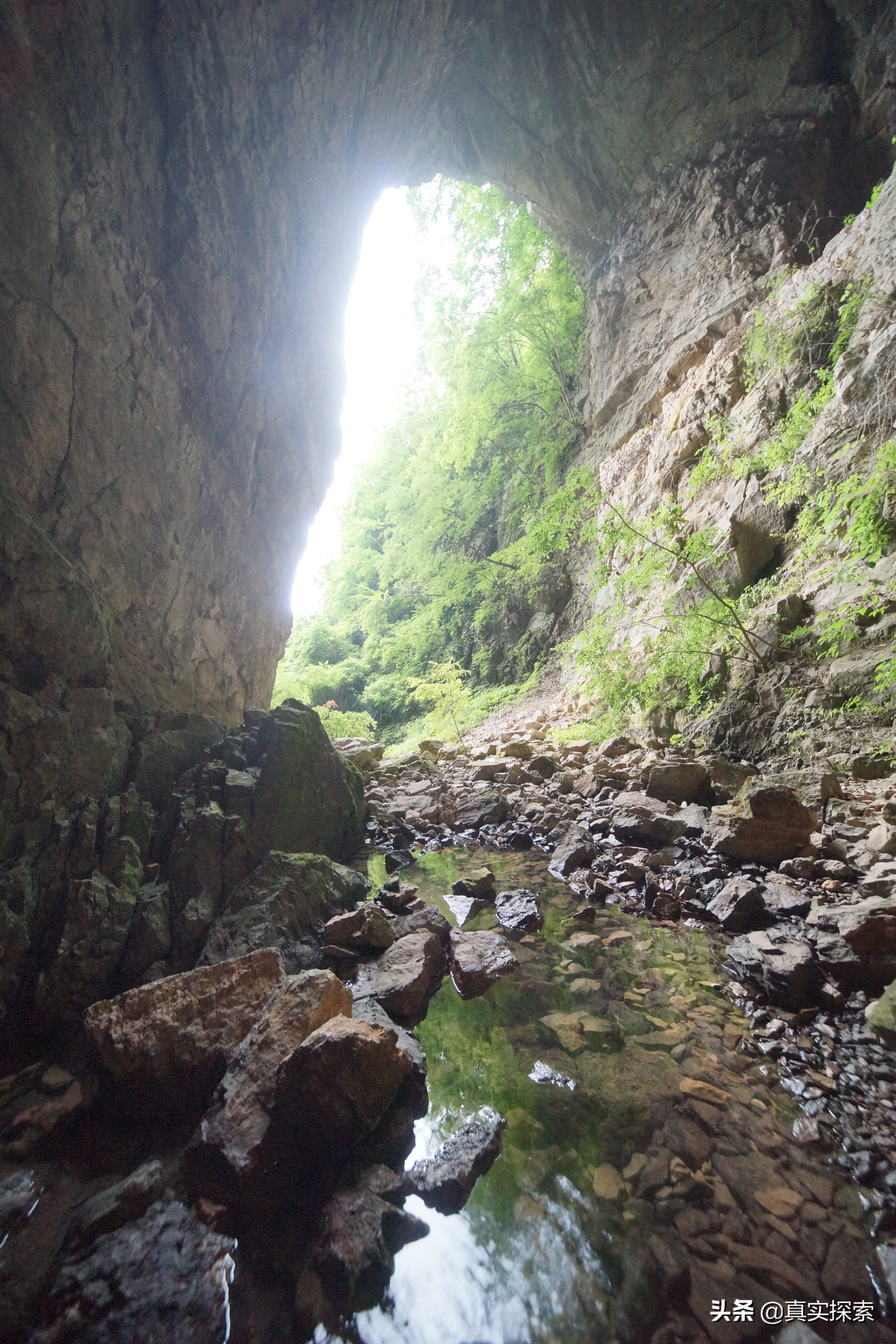 南漳老龙洞天坑视频,南漳县茅坪村老龙洞