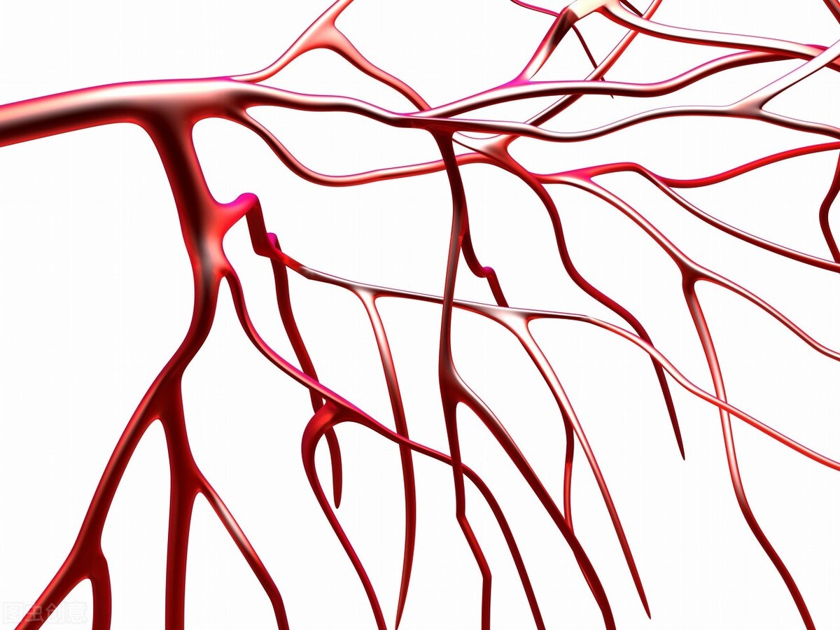 高血压如何区分原发性和继发性,高血压原发性和继发性哪个更严重