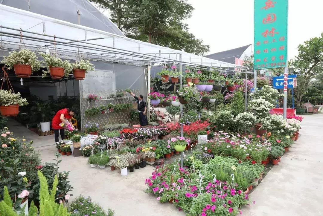 珠海便宜的购物街,珠海购物免税一条街