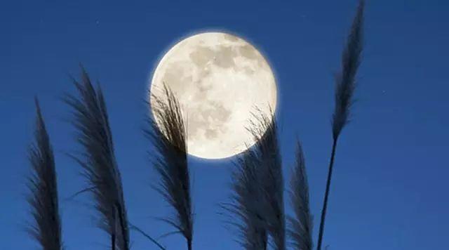 古诗词里最动情的一句,古诗中感情最深的是哪一句