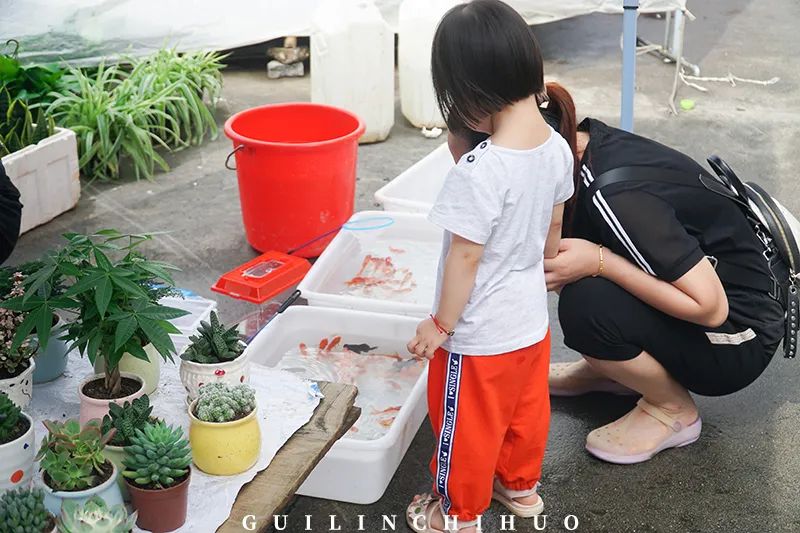 灵川县商贸城,灵川县县城商贸城