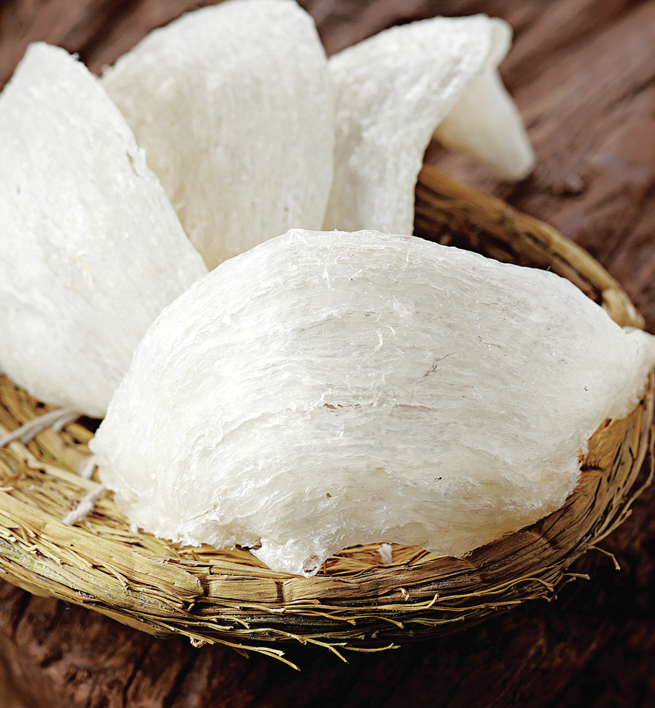 都是燕窝惹的祸?爪哇金丝燕:飞得快不如被团灭快