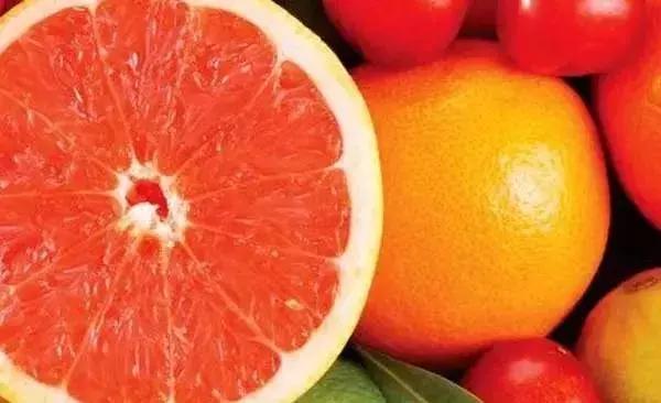 最苦的六种菜不能吃是什么,发苦的家常菜不能吃吗