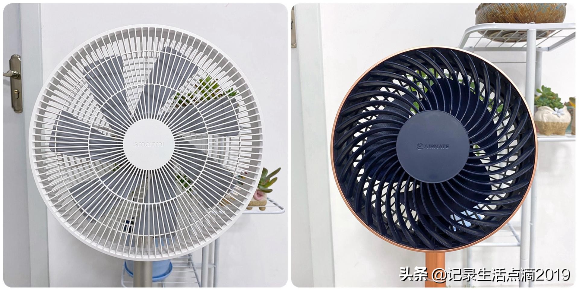 空气循环扇真的比落地扇好吗,空气循环扇和无叶扇哪个好用