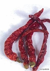 各种辣椒的介绍以及辣度,带你了解更多的辣椒知识