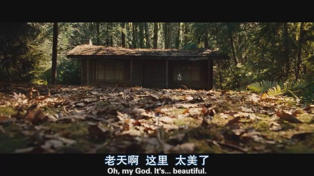 二十一世纪最吓人的恐怖片,21年很火的恐怖片