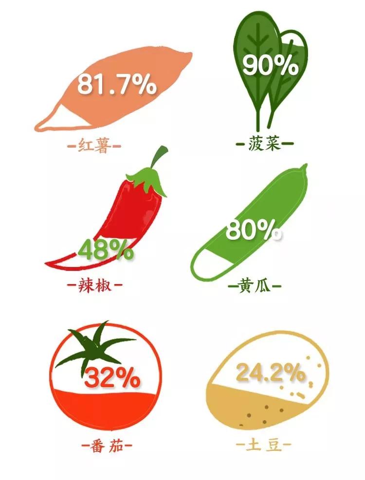 南北相济，中国580多个“菜篮子”是如何炼成的？