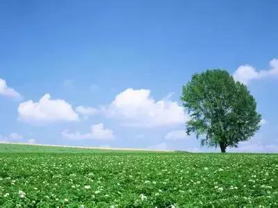 成语大全四字成语关于学习的,成语学习知识大全