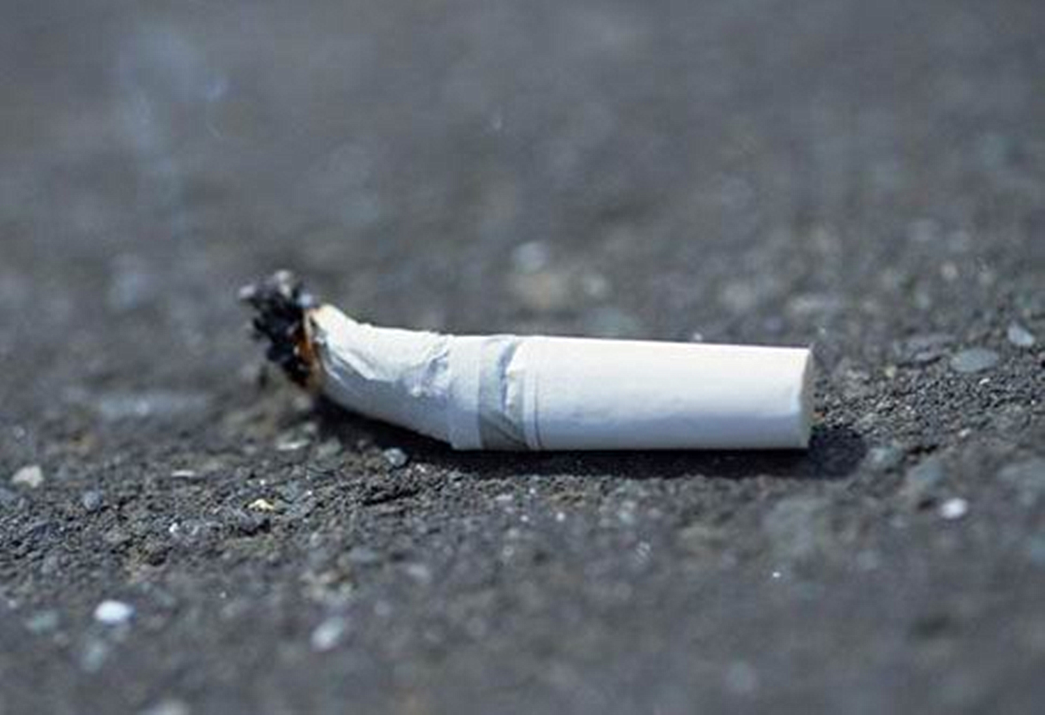 孩子莫名捡起烟头放进嘴里，妈妈厉声阻止，是很糟糕的反应