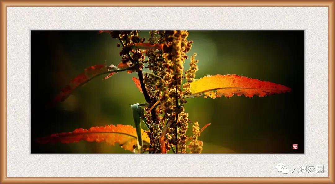 带娃的日子有滋有味,日子过得有滋有味广场舞