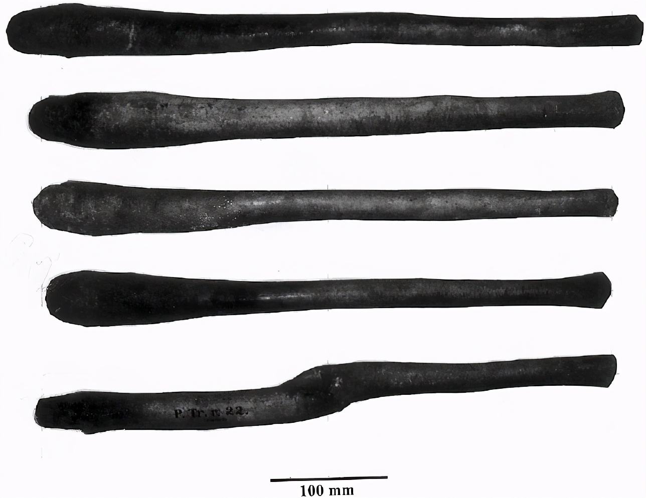 浮冰上的王者—海象,象牙既是拐杖也是长矛,因冰面融化群体跳崖