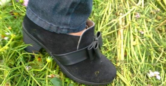 猫咪不出门需要驱虫吗,不出门的猫咪还用驱虫吗