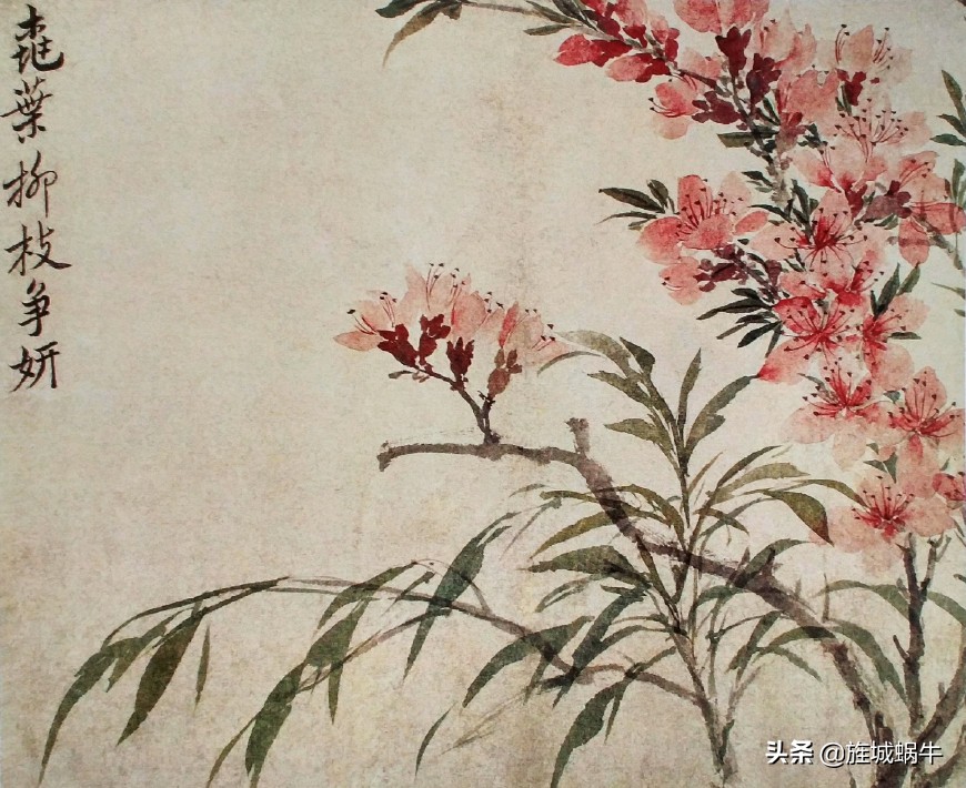 中国画没骨花鸟画的意境,徐崇嗣没骨花鸟画