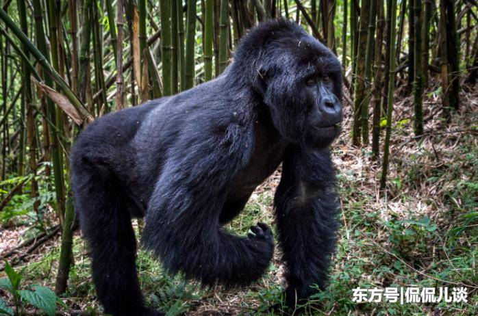 世界最贵的十大公园,世界最牛公园门票