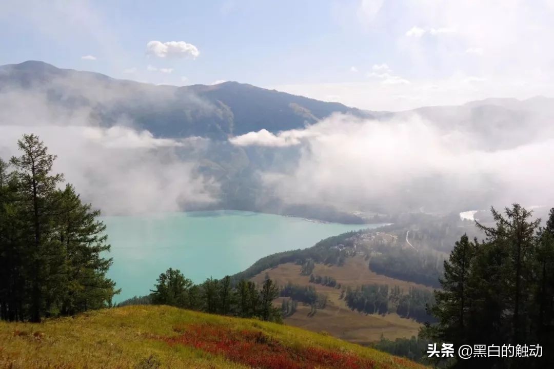 都说新疆好去新疆发展可靠么,都说新疆好地方