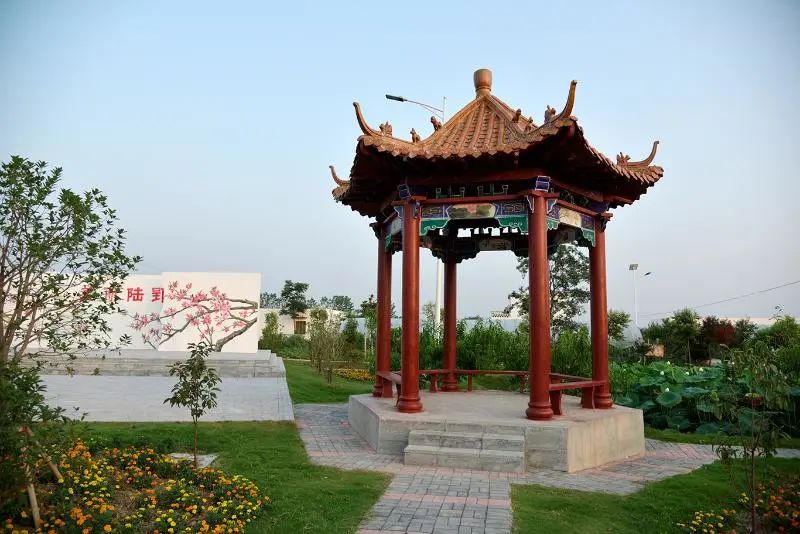 党建引领美丽乡村示范村建设 (红星村坚持党建引领建设美丽乡村)