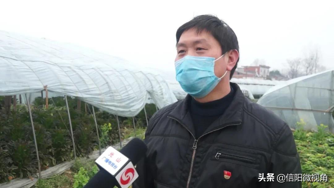 信阳光山蔬菜直通车开进北京城,蔬菜直通车进家门口