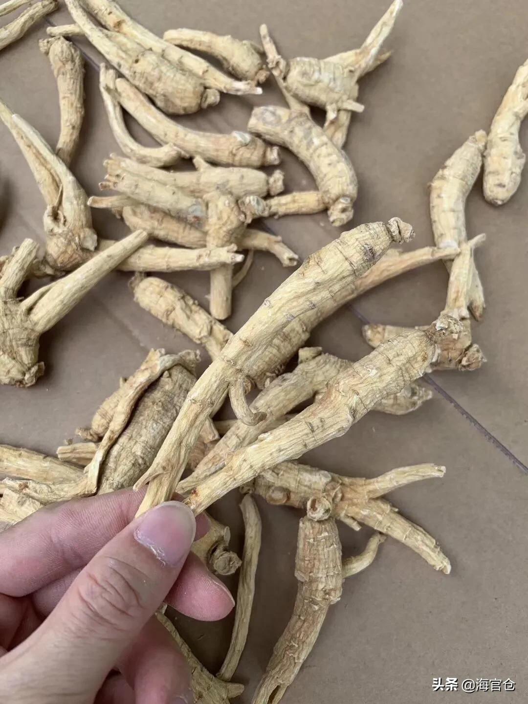 冬天西洋参泡水喝的正确方法,西洋参秋天怎么喝