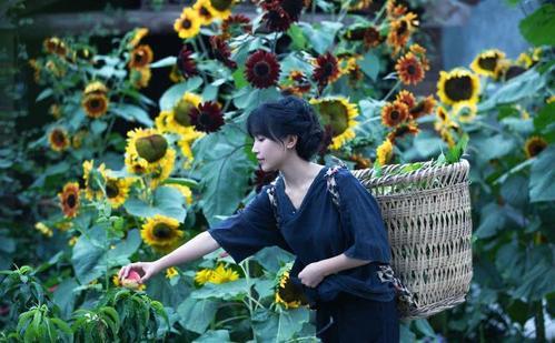 李子柒乡村振兴大使,李子柒乡村文化振兴