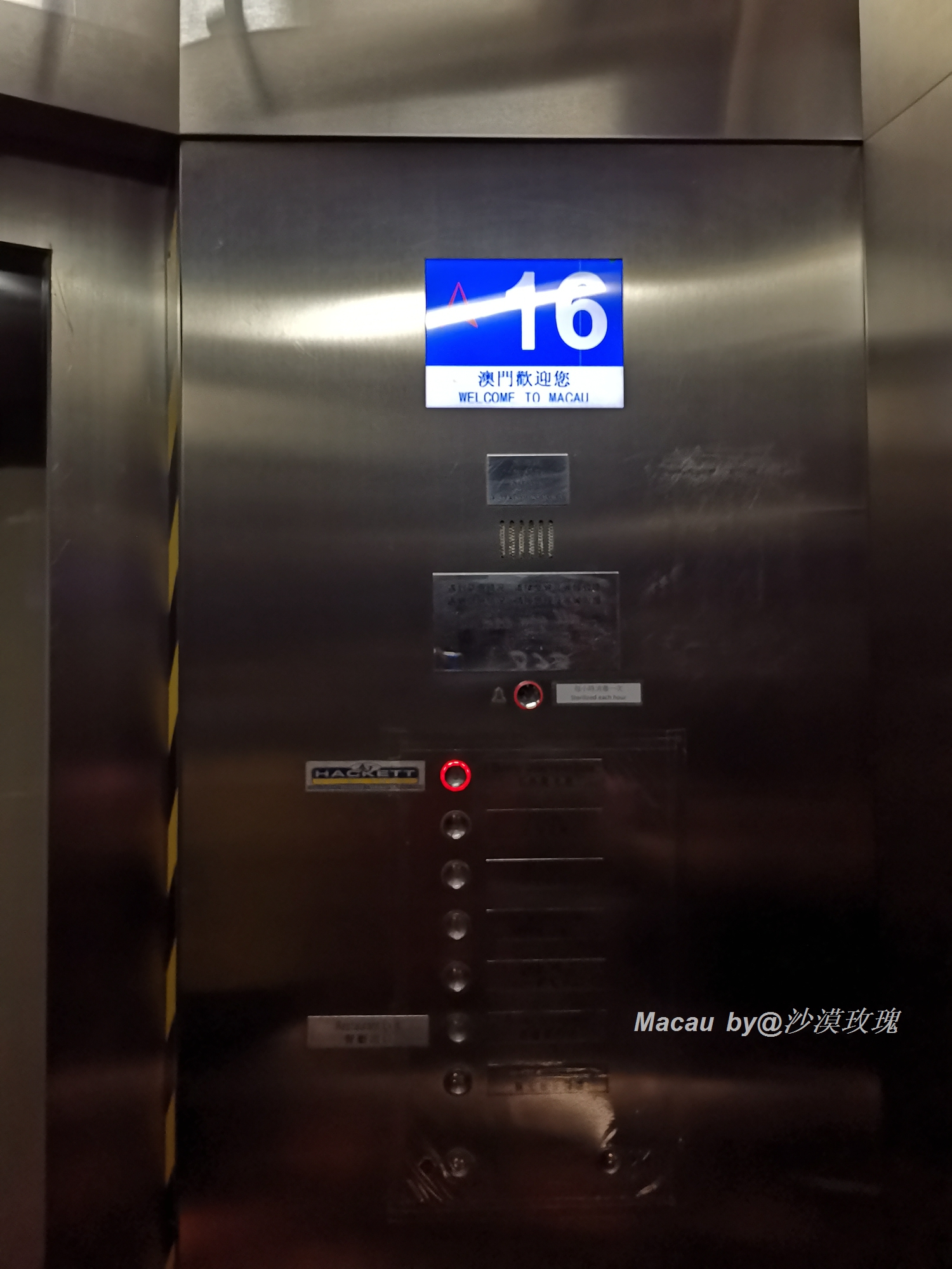 从3米高空跳到水里,世界最高蹦极澳门塔挑战成功