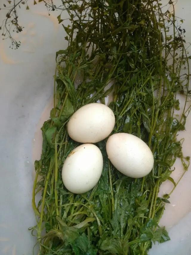 苗乡风俗习惯,麻阳苗乡的风俗