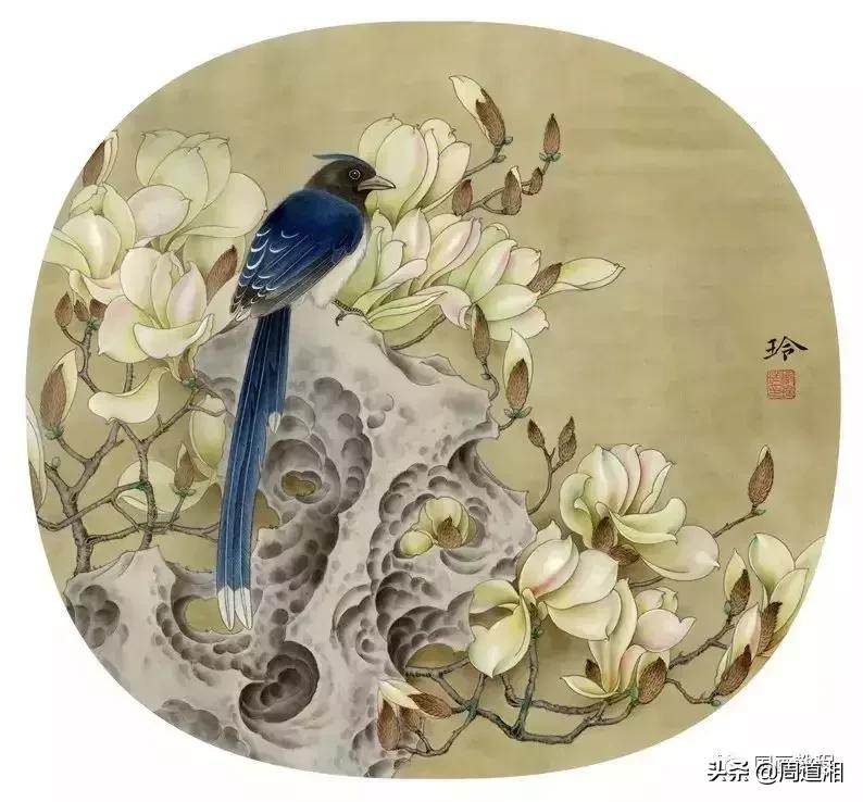 宋人工笔花鸟临摹步骤,工笔花鸟玉兰的画法